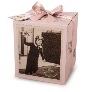 LOISON PANDORO GENESI CLASSICO 1KG COD.9032