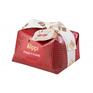 FILIPPI PANETTONE AMARENE CANDITE 1KG COD.SPE1205