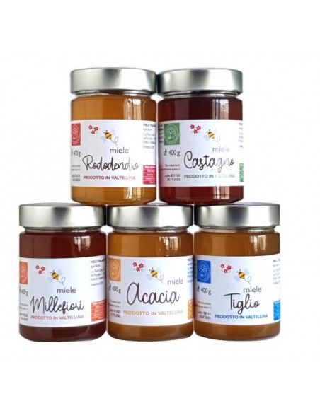 SDM MIELE MILLEFIORI 400G COD.MIEMIL40