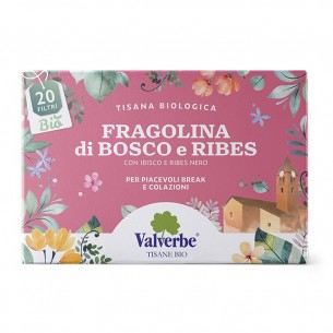 VALVERBE TISANA FRAGOLINA RIBES 20F 30G COD.TIS634
