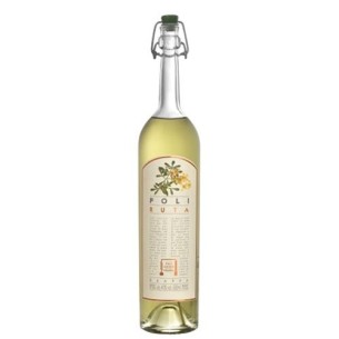 POLI GRAPPA MUSEUM ALLA RUTA 40° CL. 50