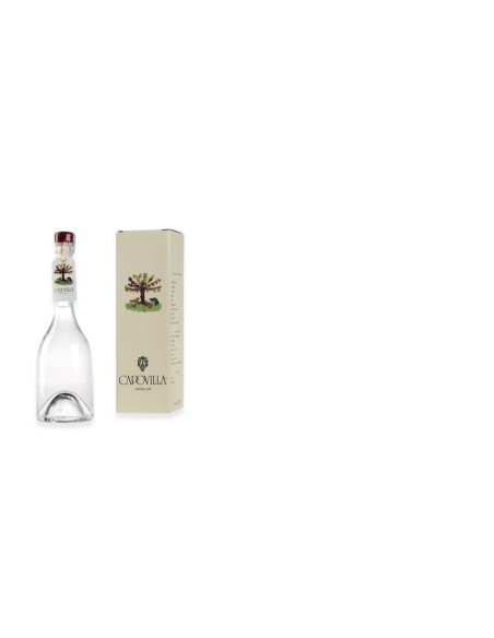 CAPOVILLA DISTILLATO CILIEGIE DURONI CL50